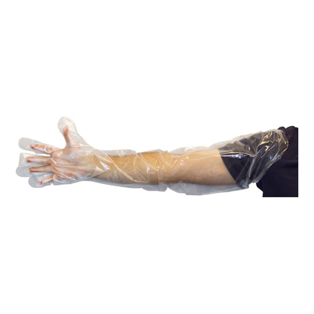 35 INCH SHOULDER LENGTH POLY  GLOVE  1000/CASE