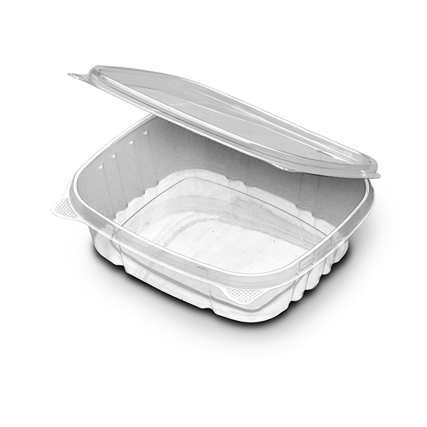 24 OZ VERSAPAK CLEAR HINGED   CONTAINER  200/CS   VH24P